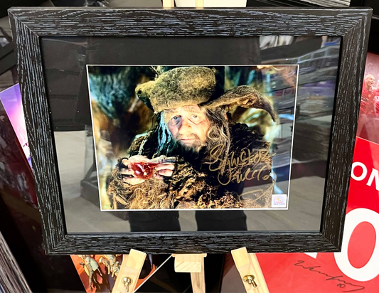 The Hobbit Sylvester McCoy Radagast the Brown Hand Signed Framed Photo