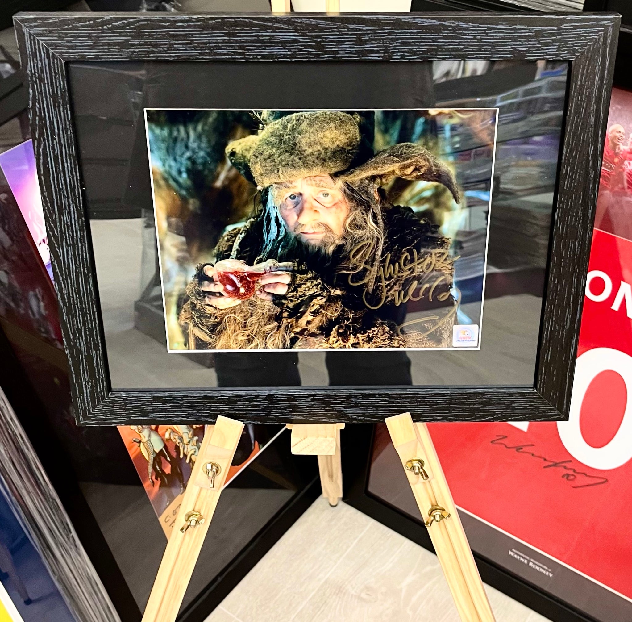 The Hobbit Sylvester McCoy Radagast Hand Signed Photograph with Eclectic Double Layer Authenticity