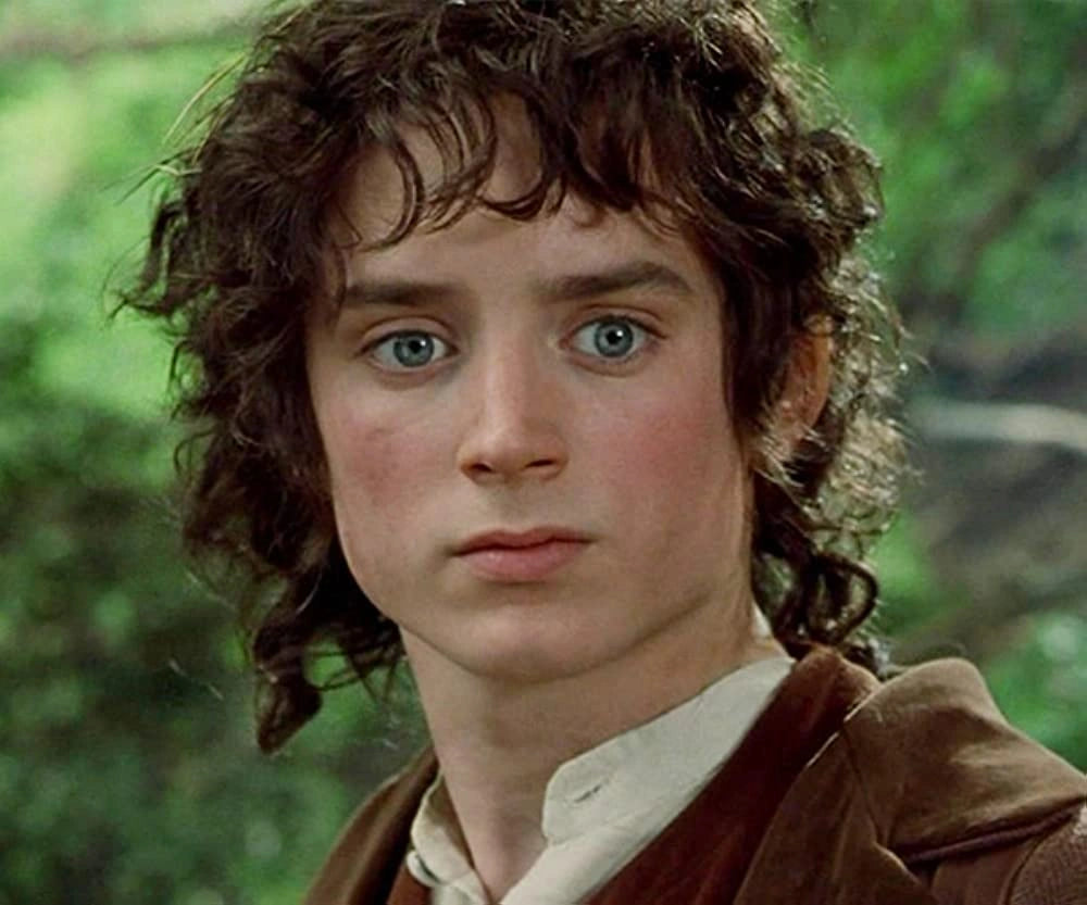 Lord of the Rings Elijah Wood Hand Signed Framed Photo