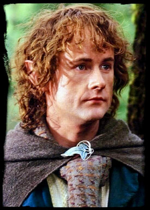 Lord of the Rings Billy Boyd Hand Signed Photograph with Double Layer Authenticity