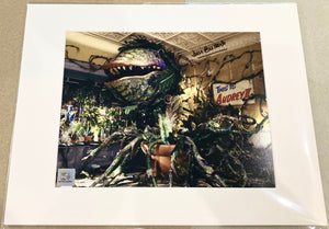 Little Shop of Horrors David Bulbeck Autographed Mounted Photograph with Double Layer Authenticity